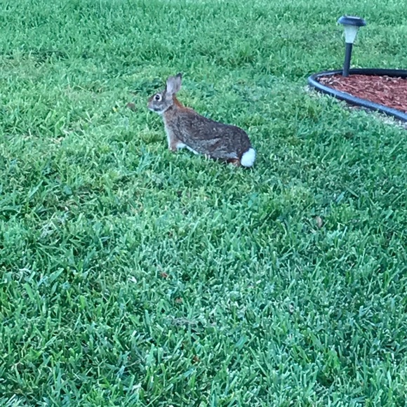 Meet your Posher, Andrea - Picture 1 of 1